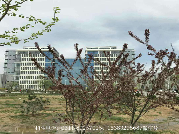 往届生可以上石家庄医学高等专科学校的口腔专业吗？