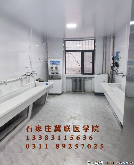 1631158347791589 (1).jpg