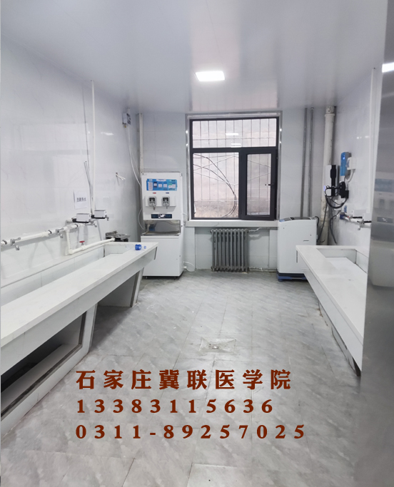 1631158347791589 (1).jpg