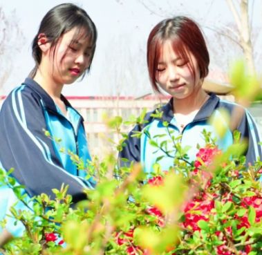 石家庄冀联医学中等专业学校校园环境好不好？春日校园